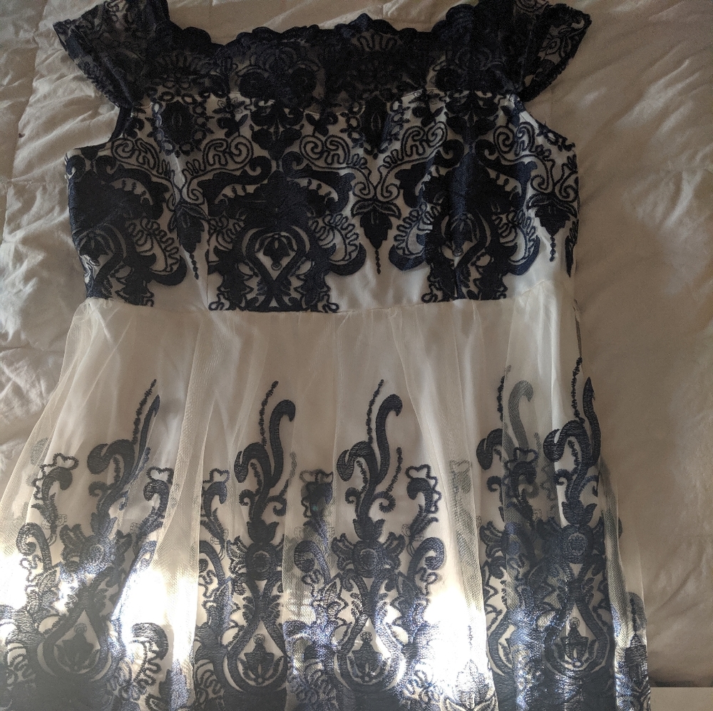 Vintage style tulle plus size dress